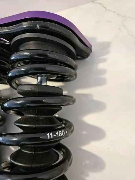 D2 Racing RS Coil overs  36 WAY Adjustable For 07-18 Nissan Altima, 09-21 Maxima great condition